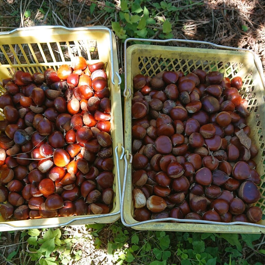 友愛センターの活動の様子 2